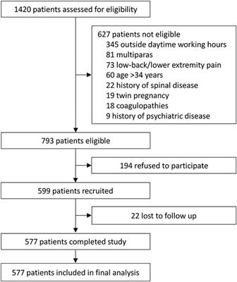 Effects of neuraxial labor analgesia on intrapartum maternal fever in full-term pregnancy and its influence on birth outcomes